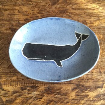 マッコウクジラプレート