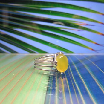 Leaf of Palm 4 ヤシの葉とイエローアゲートのリングの画像