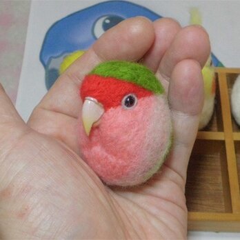 コザクラインコ ノーマル  ★マグネット/ブローチどちらか選択 羊毛の小鳥 受注作成　羊毛フェルト　うちのこオーダー可能の画像