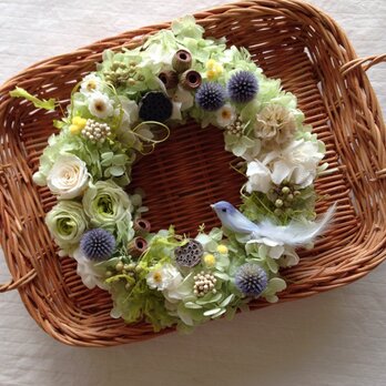 blue bird wreathの画像