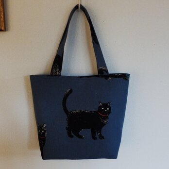 ブルーグレイの黒猫トートの画像