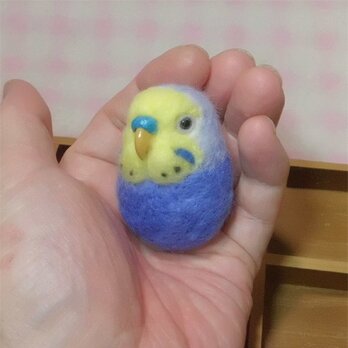 セキセイインコ  レインボーラベンダー系★マグネット/ブローチどちらか選択 羊毛の小鳥 受注作成　羊毛フェルト　鼻の色変更可能の画像