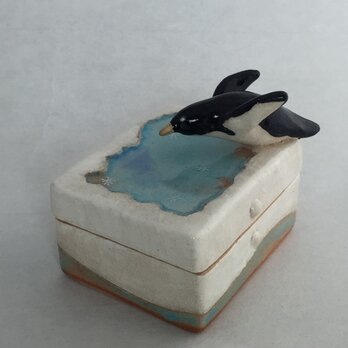 ★かこさまご予約★陶ハコ「ジャンプ！ペンギン」