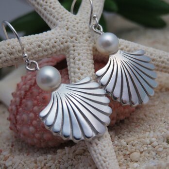 Makaha shell Pearl pierce 　貝とパールのピアスの画像