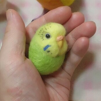 セキセイインコ グリーンオパーリン ☆マグネット/ブローチどちらか選択★鼻の色変更可能　受注作成　羊毛インコ　羊毛フェルトの画像