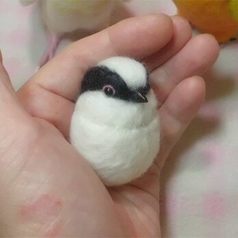 エナガ☆野鳥シリーズ★マグネット/ブローチどちらか選択　羊毛の小鳥　羊毛フェルト【受注製作】の画像