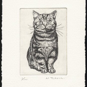 前向きな猫 / 銅版画 (額なし）の画像