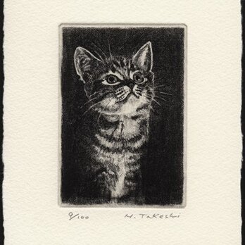 見上げる子猫 ・ A/ 銅版画 (額なし）の画像