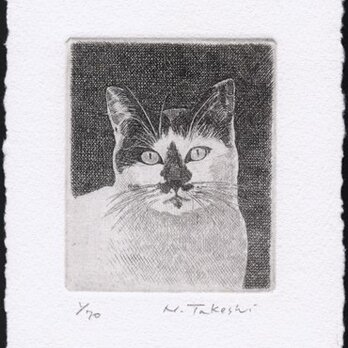 黒い鼻の猫 / 銅版画 (作品のみ）の画像