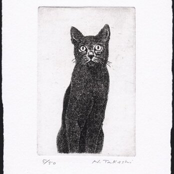 黒い猫・2009/銅版画 (作品のみ）の画像
