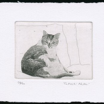 ソファーに座る猫 / 銅版画 (作品のみ）の画像