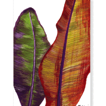 ポストカード　バナナの葉（２枚組）の画像