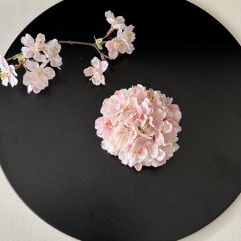 桜のコサージュ「受注制作」