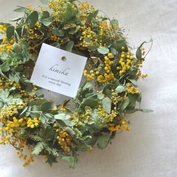 mimosa wreath.y