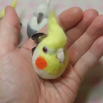 オカメインコ・ルチノー　羊毛フェルト☆マグネット/ブローチどちらか選択　受注作成　羊毛インコ　うちの子オーダー可能　の画像