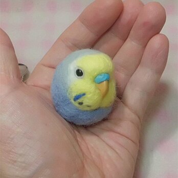 セキセイインコ レインボー ライラック★マグネット/ブローチどちらか選択 羊毛の小鳥 受注作成　羊毛フェルト　鼻の色変更可能の画像