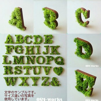 木製オブジェ(モス)Ｌサイズ(18.5cm)×１点「Ａ・Ｂ・Ｃ・Ｄ・Ｅ」の画像