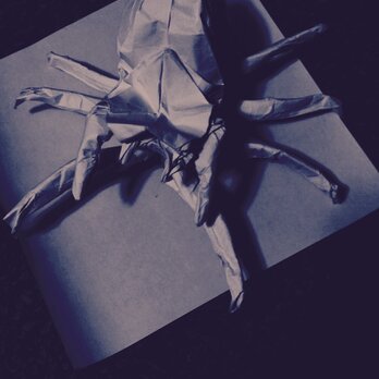 折り紙で蜘蛛を折りましたの画像