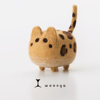 woonya【leopard】の画像