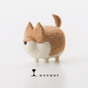 woowan【shiba】の画像