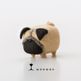 woowan【pug】の画像
