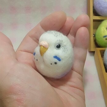 セキセイインコ ハルクイン・薄紫★マグネット/ブローチどちらか選択 羊毛の小鳥 受注作成　羊毛フェルト　鼻の色変更可能の画像