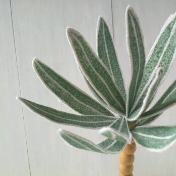 麻の苔玉　LineⅠ