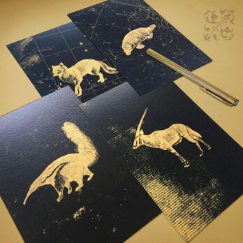 黄昏時の動物達 ポストカード（４枚入り）の画像
