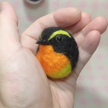 キビタキ☆野鳥シリーズ★マグネット/ブローチどちらか選択　羊毛の小鳥　羊毛フェルト【受注製作】　工房小鳥屋さんの画像