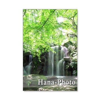 1091) 美しい新緑と水の風景   ポストカード5枚組の画像