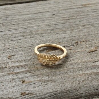 Small Feather Ring　Vermeilの画像