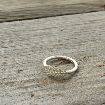 Small Feather Ring　Sterling Silverの画像