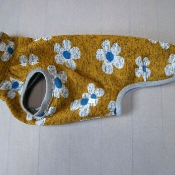 犬服　Ｉ様オーダーメイド品：ウィペット用ウィンターウェア　花柄の画像