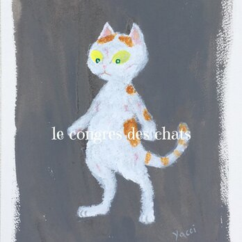 猫のポートレイト（のらねこ・白茶）の画像
