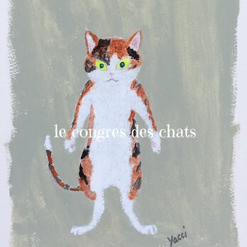 猫のポートレイト（のらねこ・三毛）の画像