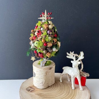 Xmas tree arrangeの画像