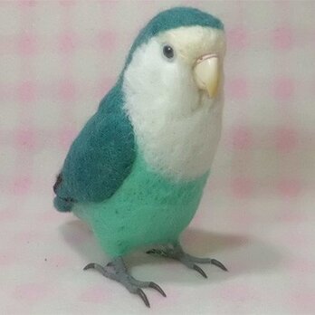 リアルサイズ♪ コザクラインコ コバルトグリーン 羊毛フェルト　受注作成　羊毛インコ　メモリアル　リアル　うちの子オーダー可能の画像