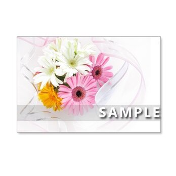 1107)　ガーベラとバラの美しい花束　ポストカード5枚組の画像