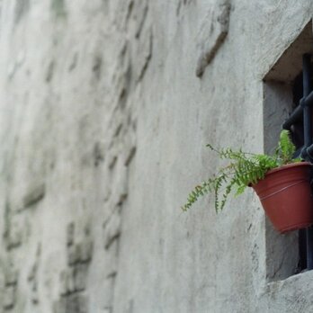 【額付写真】on the wallの画像