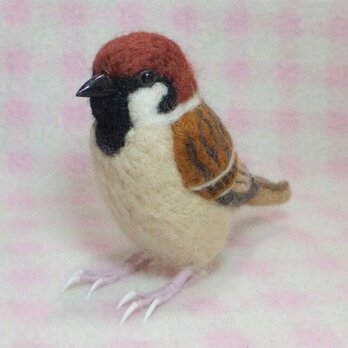 リアルサイズ♪ スズメ　雀 羊毛フェルト　野鳥　受注作成　羊毛インコ　メモリアル　工房小鳥屋さんの画像