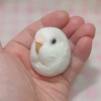 セキセイインコ アルビノ（濃赤目）★マグネット/ブローチどちらか選択 羊毛の小鳥 受注作成　羊毛フェルト　鼻の色変更可能の画像