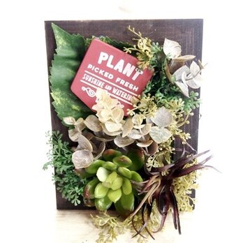 多肉がおしゃれなフレームアレンジ・ブラウン１