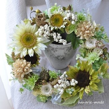 ひまわり　natural color：wreath(30cm）の画像