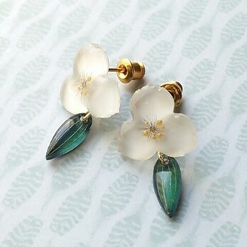 ブライダルベールのピアス・イヤリング