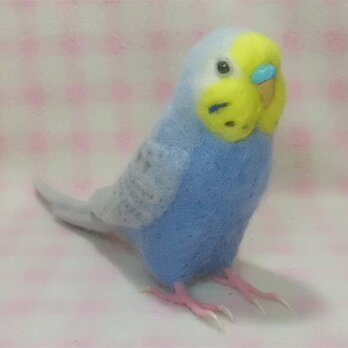 リアルサイズ♪ セキセイインコ レインボーライラック 羊毛フェルト☆選べる鼻の色　受注作成　羊毛インコ　ライフサイズの画像