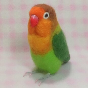 ライフサイズ♪ ボタンインコ チェリー系イエロー 羊毛フェルト　受注作成　羊毛インコ　メモリアル　リアル　うちの子オーダー可能の画像