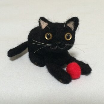 小さな黒猫ちゃんドールの画像