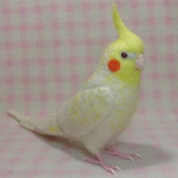 リアル！オカメインコ ルチノ－パール（濃赤目） 羊毛フェルト　受注作成　羊毛インコ　メモリアル　リアル　工房小鳥屋さんの画像