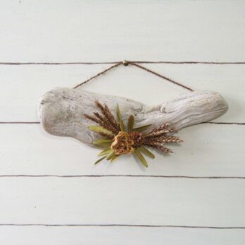 ﾄﾞﾗｲﾌﾗﾜｰの壁掛け　X-11