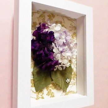 フレーム*紫陽花の画像